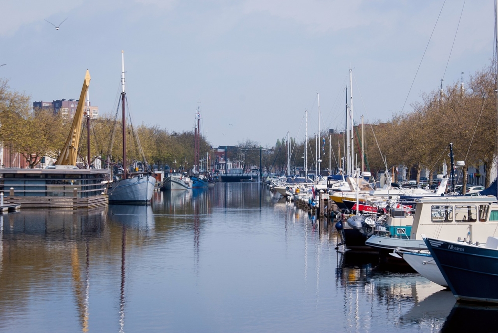 Staat Vlaardingen bekend als een huisdiervriendelijke stad?