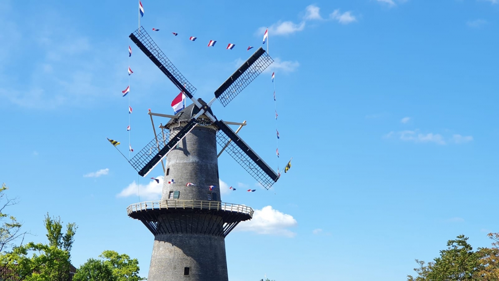 75 jaar vrijheid gevierd met vlaggen op De Vrijheid