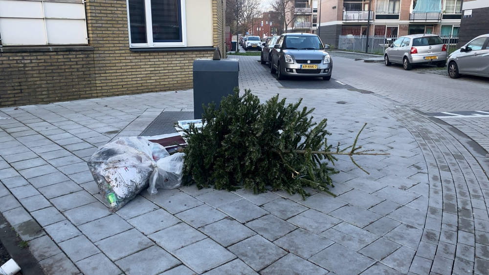 Ondanks de inleverpunten werden de kerstbomen dit jaar overal gedumpt