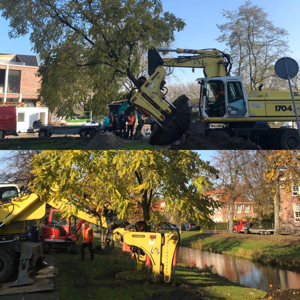 Hoofdstraat en Nieuwe Haven worden opnieuw ingericht: bomen moeten verkassen