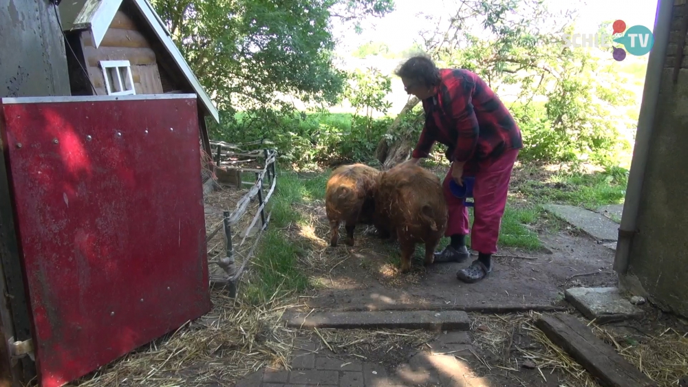 De droge lente heeft consequenties voor boeren, dijken en natuur