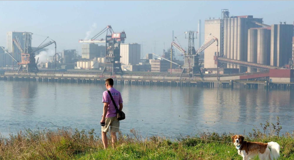 DCMR: minder overtredingen veiligheid bedrijven Rijnmond in 2021 maar wel meer boetes