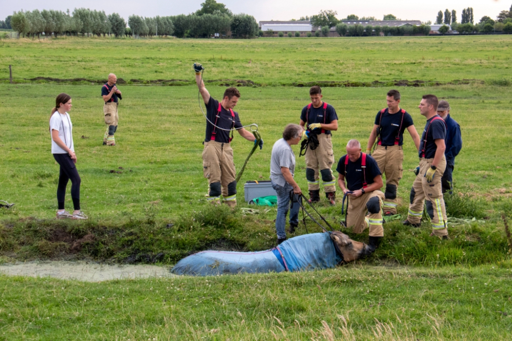 Paard oververmoeid na reddingsactie brandweer