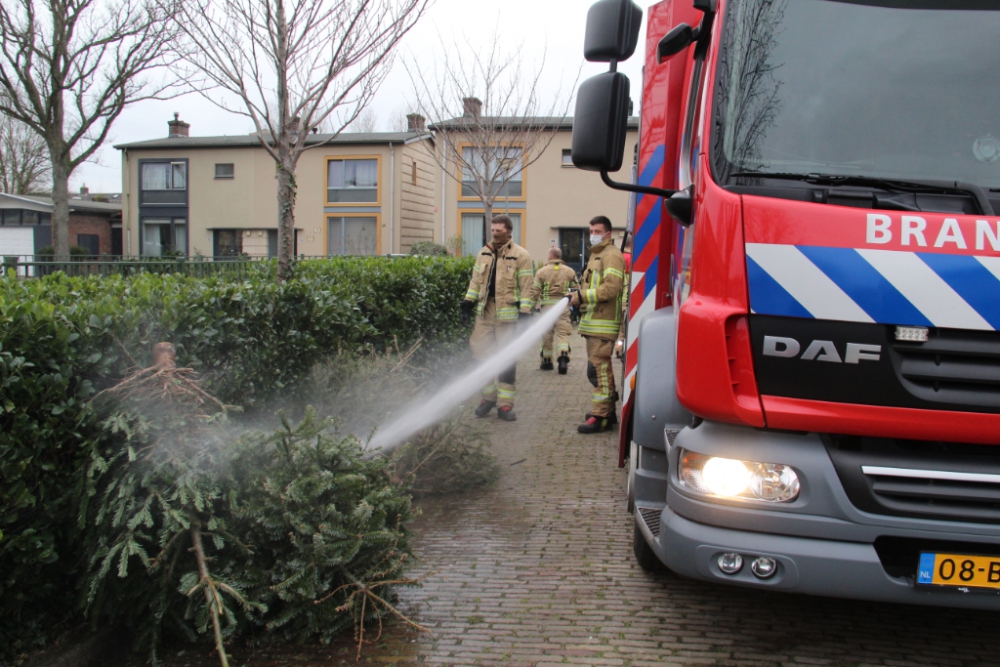 Verlate kerstboomfik geblust door de brandweer