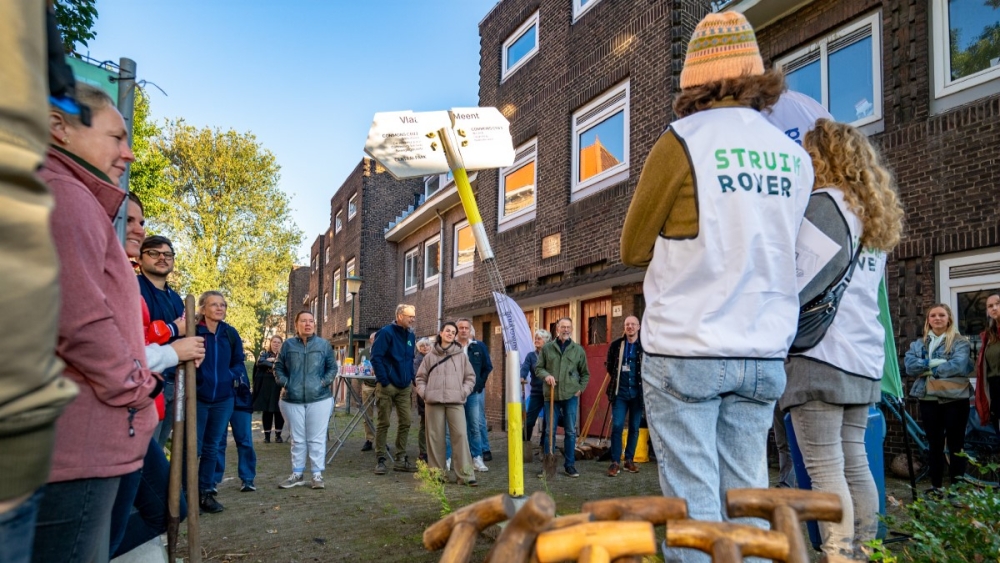 Vijftig struikrovers ‘jatten’ planten, schuurdeuren en ledlampen uit tuinen